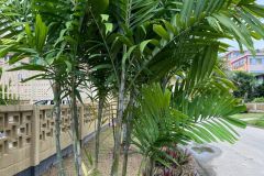 WhatsApp-Image-2025-03-10-at-12.58.422